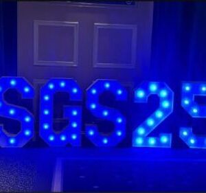 Led numbers £30 per digit (All Numbers Available)